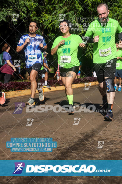 Vale Verde Run 2024