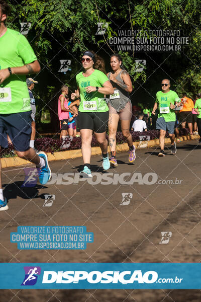 Vale Verde Run 2024