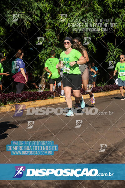 Vale Verde Run 2024