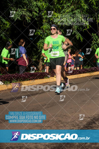 Vale Verde Run 2024