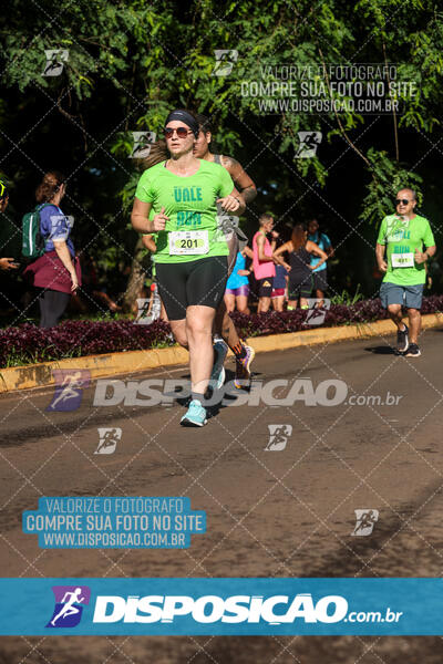 Vale Verde Run 2024