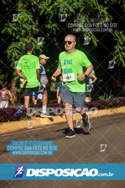 Vale Verde Run 2024