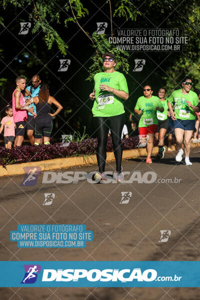 Vale Verde Run 2024