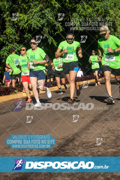 Vale Verde Run 2024