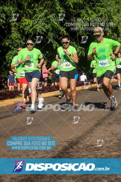 Vale Verde Run 2024