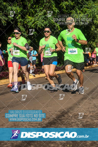 Vale Verde Run 2024