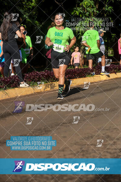 Vale Verde Run 2024