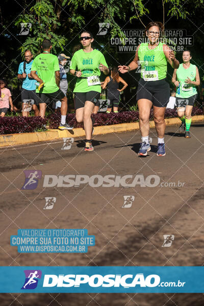 Vale Verde Run 2024