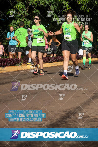 Vale Verde Run 2024