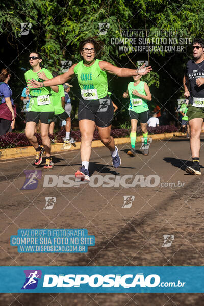 Vale Verde Run 2024