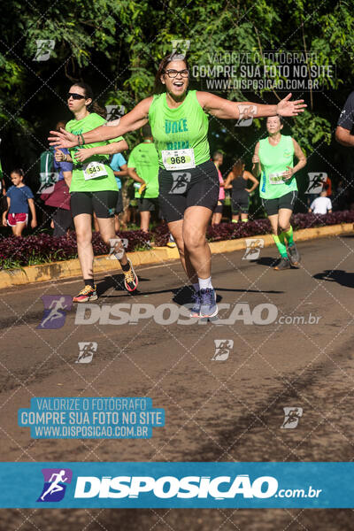 Vale Verde Run 2024