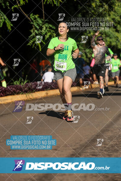 Vale Verde Run 2024