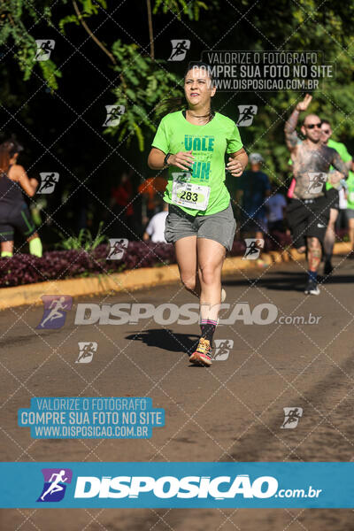 Vale Verde Run 2024