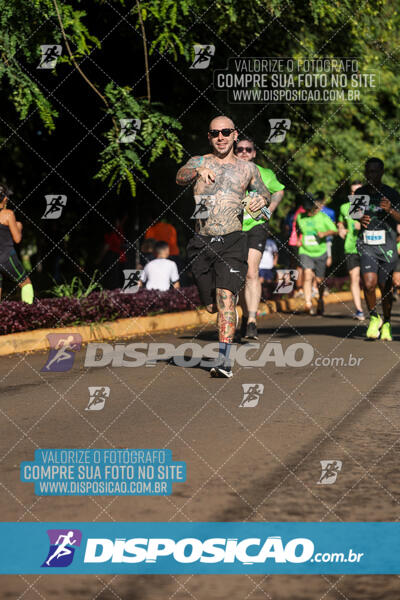 Vale Verde Run 2024