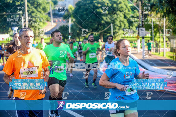 Vale Verde Run 2024