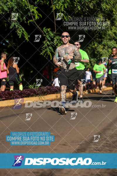 Vale Verde Run 2024