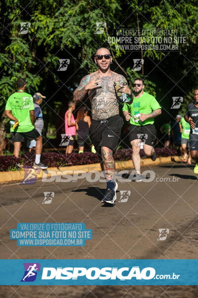 Vale Verde Run 2024