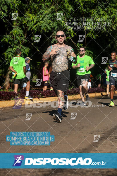 Vale Verde Run 2024