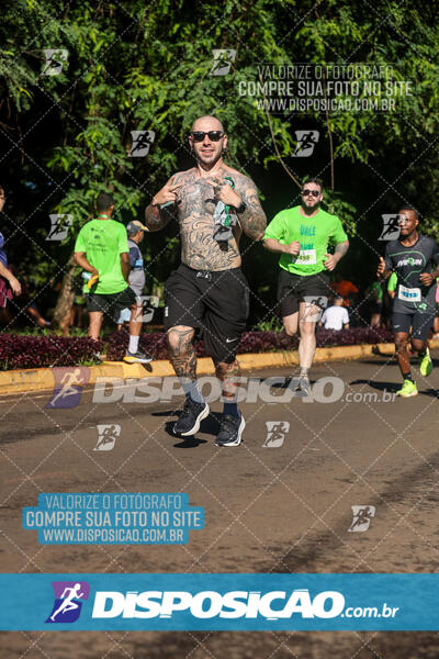 Vale Verde Run 2024