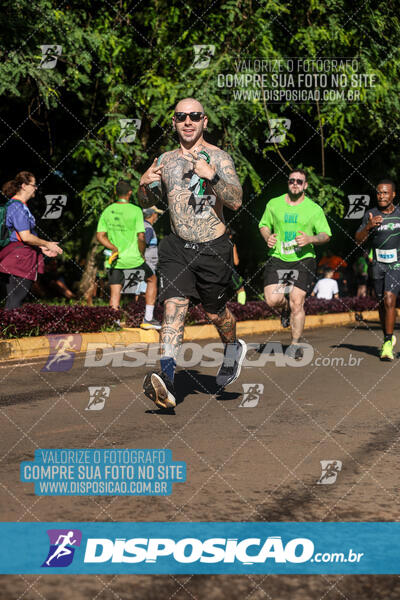 Vale Verde Run 2024