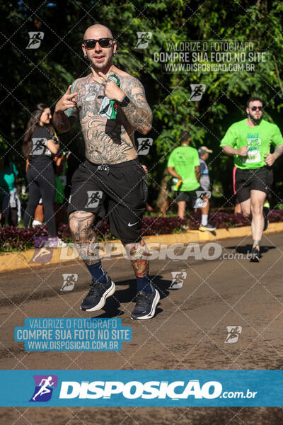 Vale Verde Run 2024