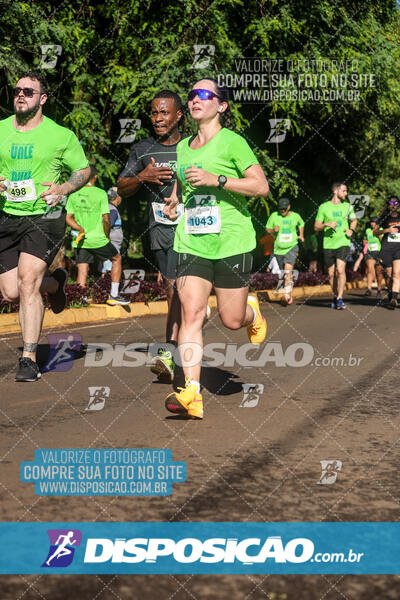 Vale Verde Run 2024