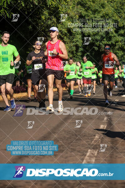 Vale Verde Run 2024