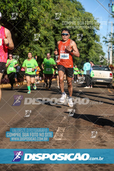 Vale Verde Run 2024