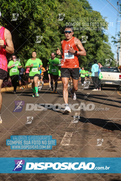 Vale Verde Run 2024