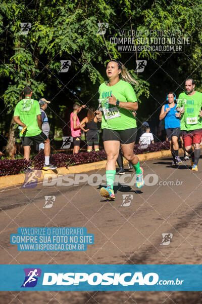 Vale Verde Run 2024