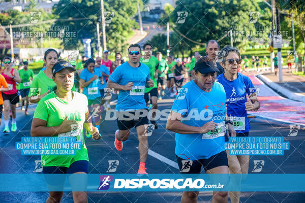 Vale Verde Run 2024