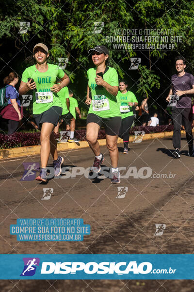 Vale Verde Run 2024