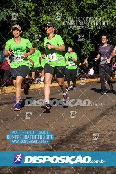 Vale Verde Run 2024