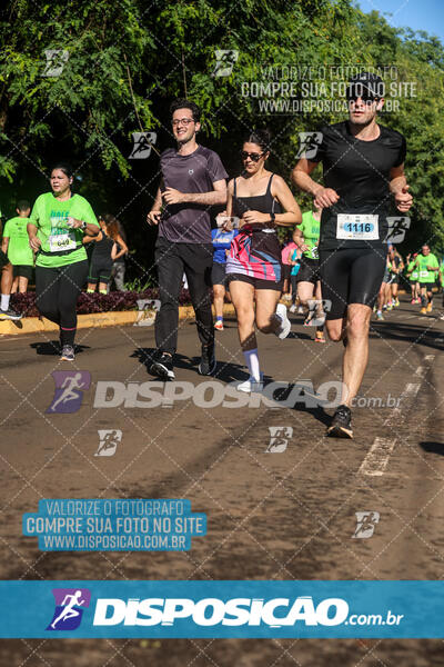 Vale Verde Run 2024