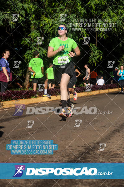 Vale Verde Run 2024