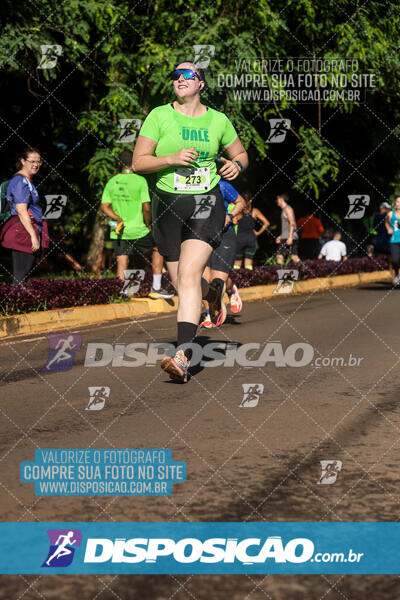 Vale Verde Run 2024