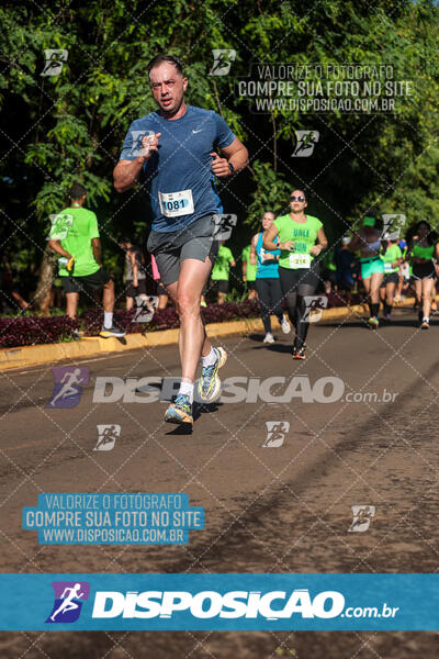 Vale Verde Run 2024