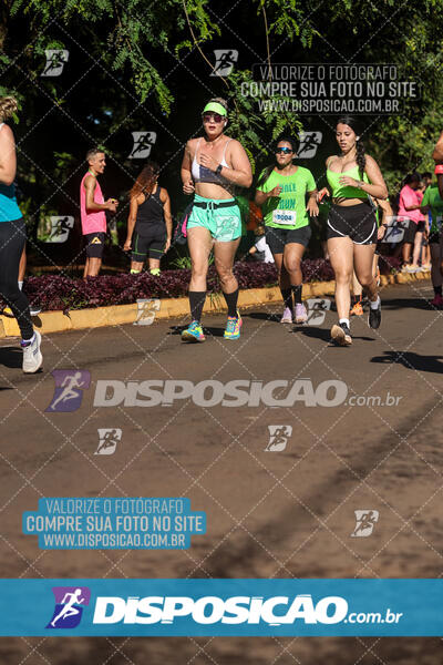 Vale Verde Run 2024