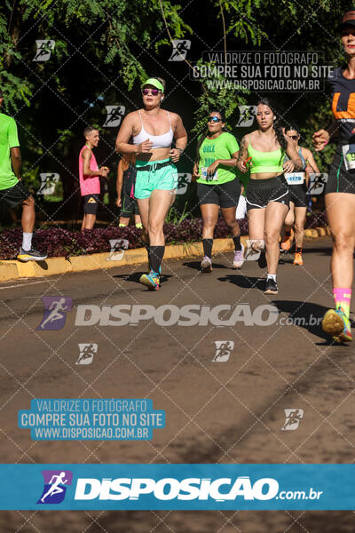 Vale Verde Run 2024