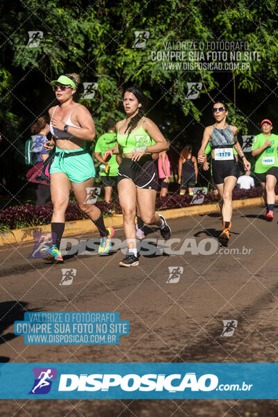 Vale Verde Run 2024