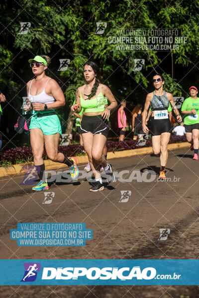 Vale Verde Run 2024