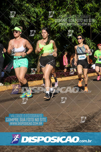 Vale Verde Run 2024