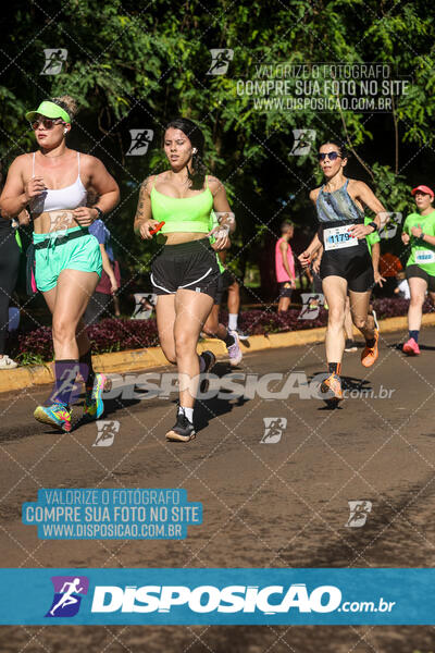 Vale Verde Run 2024