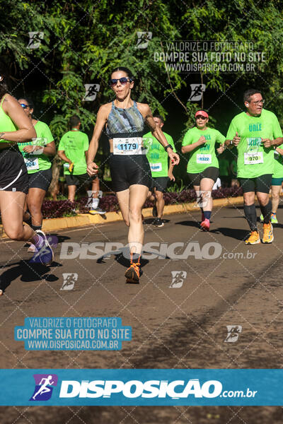 Vale Verde Run 2024