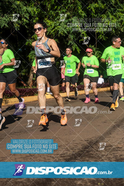 Vale Verde Run 2024