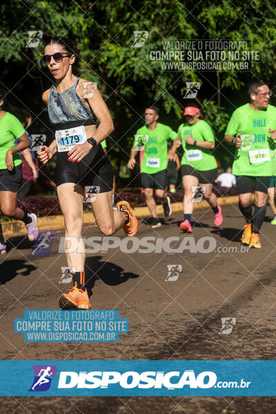 Vale Verde Run 2024