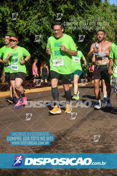 Vale Verde Run 2024