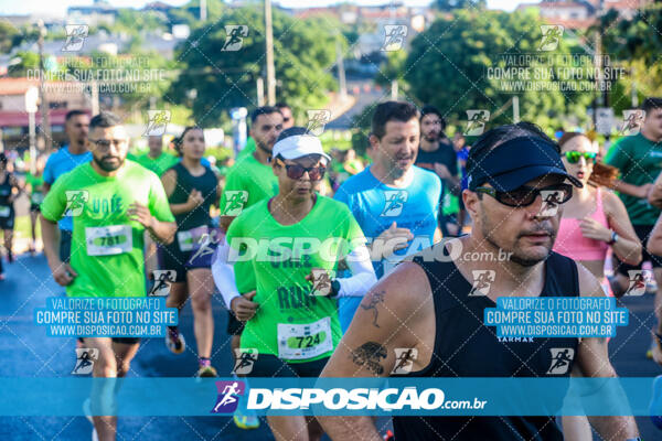 Vale Verde Run 2024