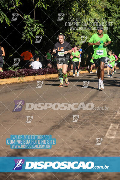 Vale Verde Run 2024