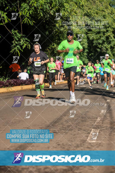 Vale Verde Run 2024